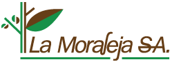 Logo de La Moraleja S.A.